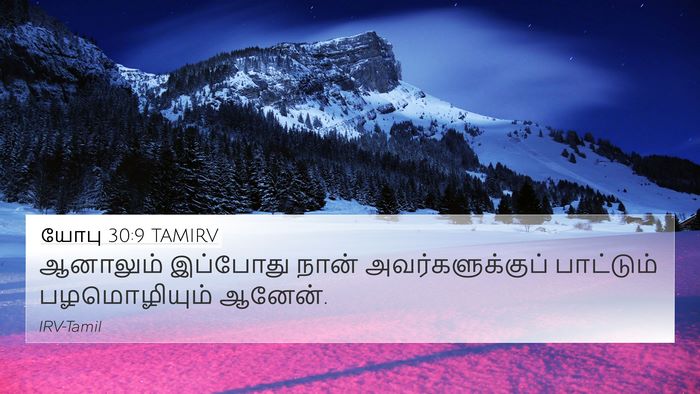 யோபு 30:9 TAMIRV Bible Verse Image