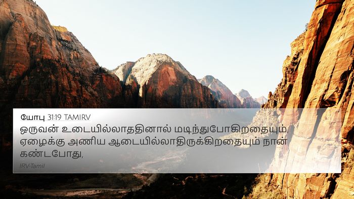 யோபு 31:19 TAMIRV Bible Verse Image