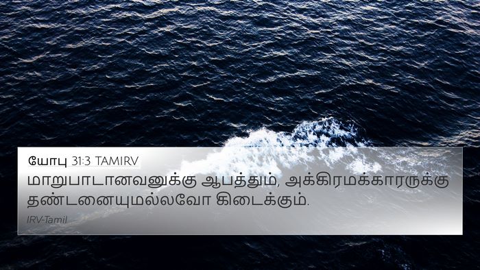 யோபு 31:3 TAMIRV Bible Verse Image