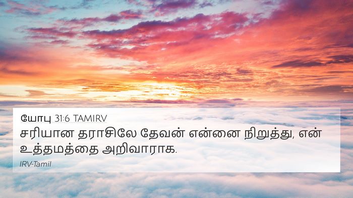 யோபு 31:6 TAMIRV Bible Verse Image