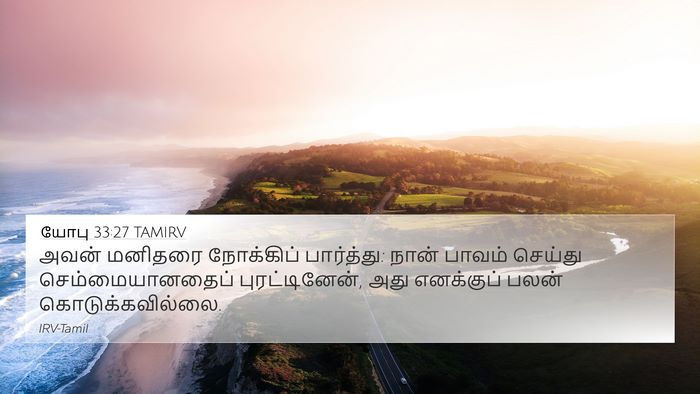 யோபு 33:27 TAMIRV Bible Verse Image