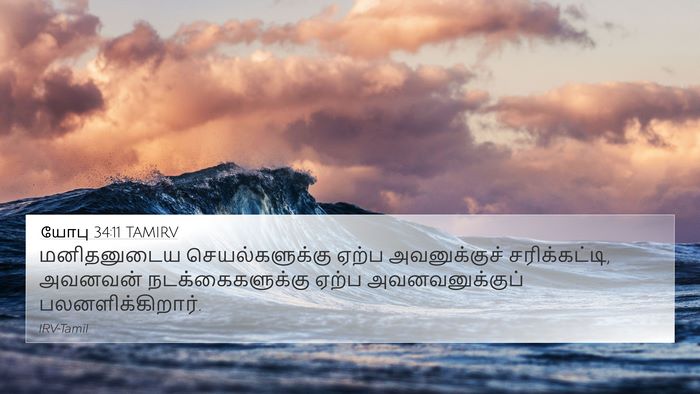 யோபு 34:11 TAMIRV Bible Verse Image