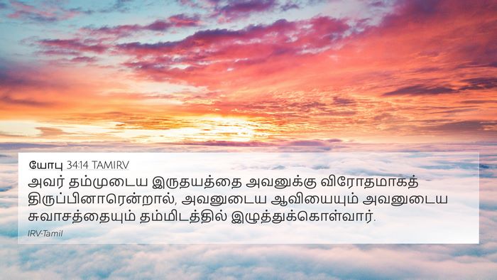 யோபு 34:14 TAMIRV Bible Verse Image