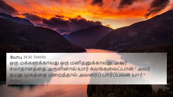 யோபு 34:30 TAMIRV Bible Verse Image