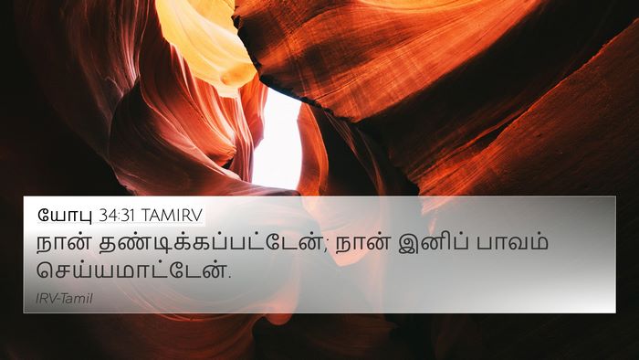 யோபு 34:31 TAMIRV Bible Verse Image