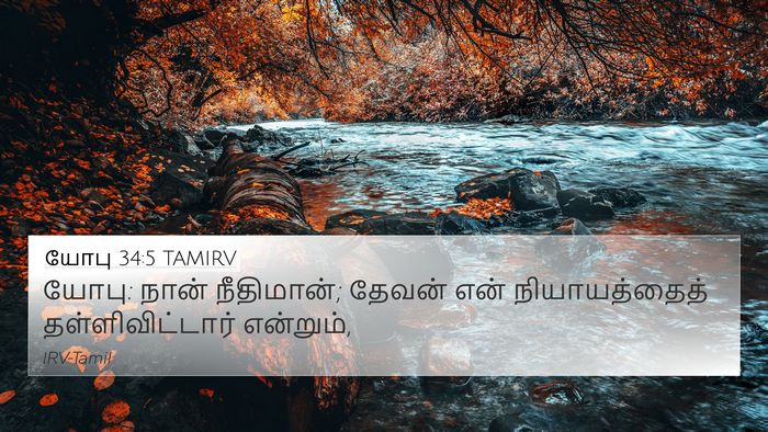யோபு 34:5 TAMIRV Bible Verse Image
