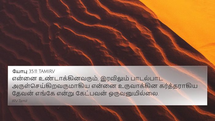 யோபு 35:11 TAMIRV Bible Verse Image
