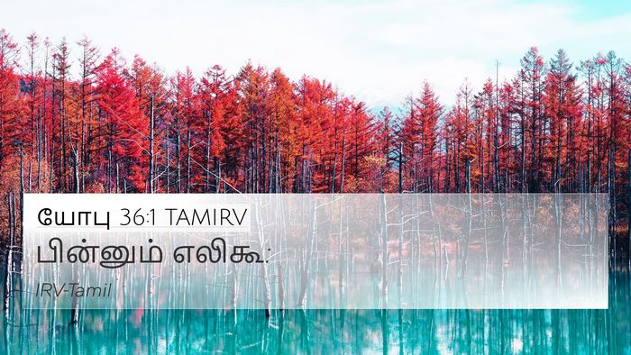 யோபு 36:1 TAMIRV 4K Wallpaper - பின்னும் - 4K Wallpaper Bible Verse