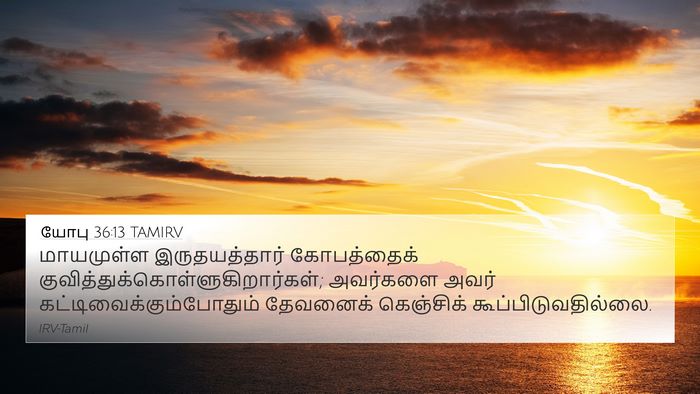 யோபு 36:13 TAMIRV Bible Verse Image