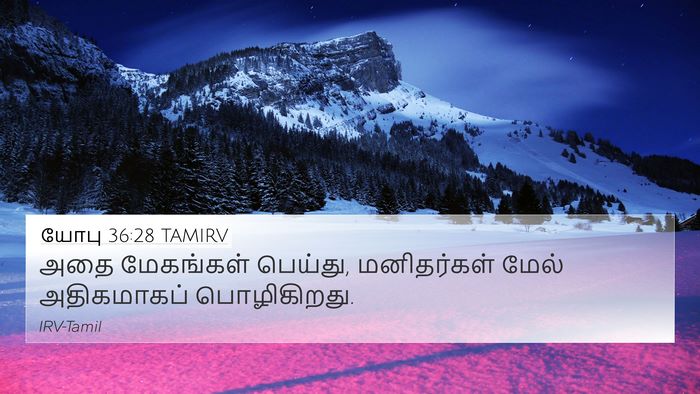 யோபு 36:28 TAMIRV Bible Verse Image