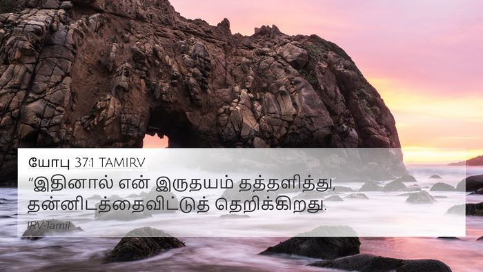 யோபு 37:1 TAMIRV Bible Verse Image