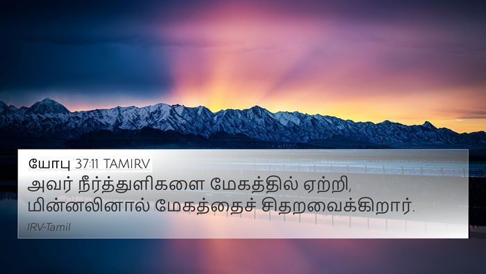 யோபு 37:11 TAMIRV Bible Verse Image