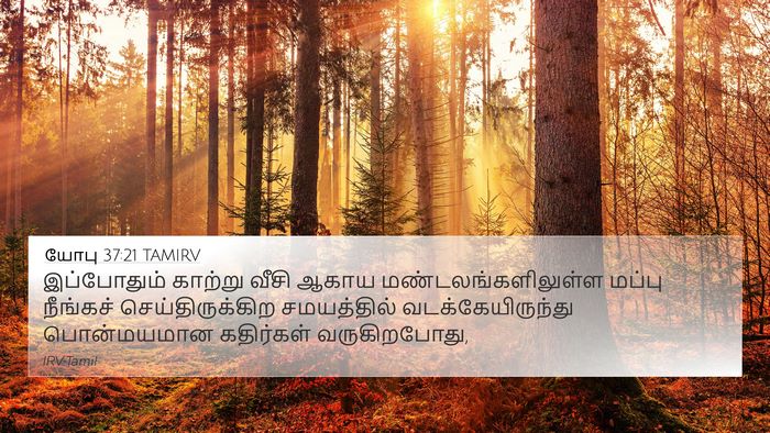 யோபு 37:21 TAMIRV 4K Wallpaper - இப்போதும் காற்று - 4K Wallpaper Bible Verse