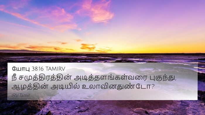 யோபு 38:16 TAMIRV Bible Verse Image
