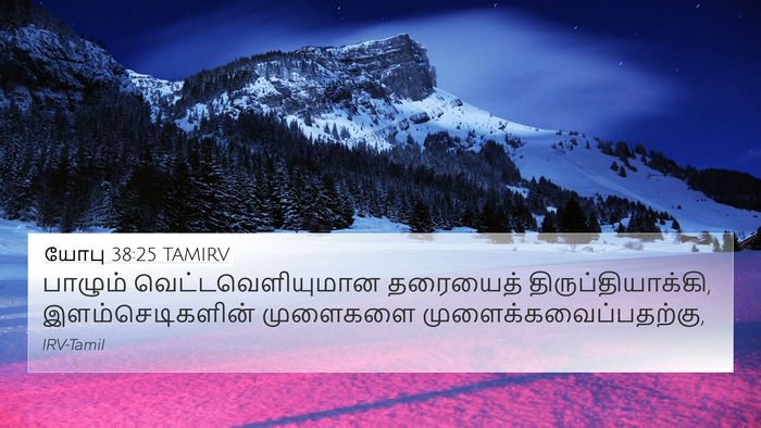 யோபு 38:25 TAMIRV Bible Verse Image