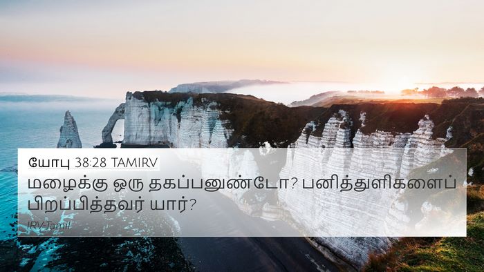 யோபு 38:28 TAMIRV 4K Wallpaper - மழைக்கு ஒரு - 4K Wallpaper Bible Verse