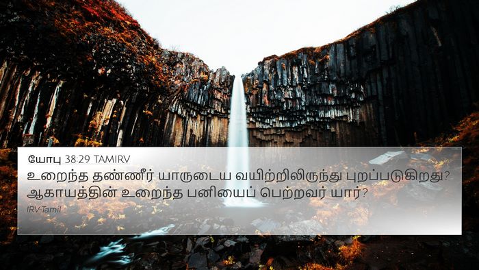 யோபு 38:29 TAMIRV Bible Verse Image