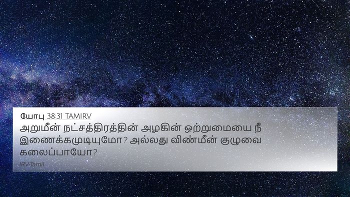 யோபு 38:31 TAMIRV Bible Verse Image