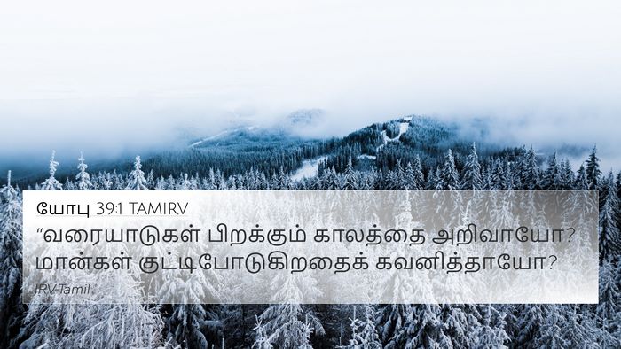 யோபு 39:1 TAMIRV Bible Verse Image