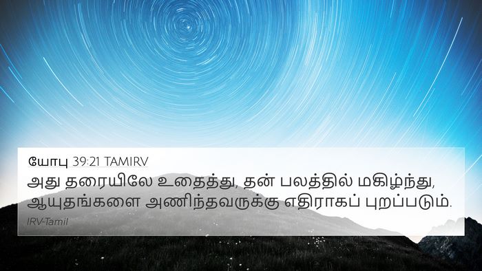 யோபு 39:21 TAMIRV 4K Wallpaper - அது தரையிலே - 4K Wallpaper Bible Verse