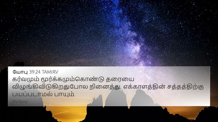 யோபு 39:24 TAMIRV Bible Verse Image