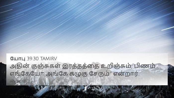 யோபு 39:30 TAMIRV Bible Verse Image