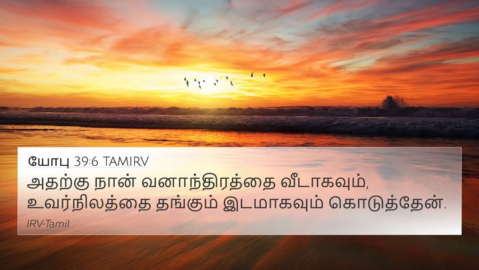 யோபு 39:6 TAMIRV Bible Verse Image