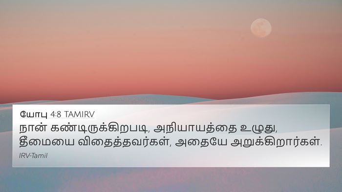 யோபு 4:8 TAMIRV Bible Verse Image