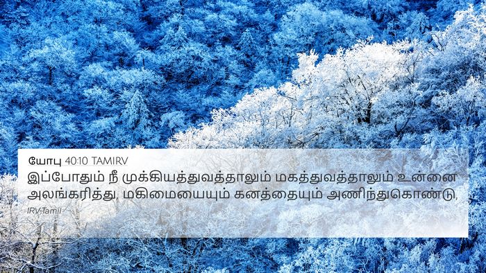 யோபு 40:10 TAMIRV Bible Verse Image