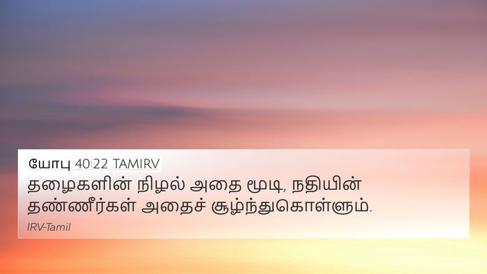 யோபு 40:22 TAMIRV 4K Wallpaper - தழைகளின் நிழல் - 4K Wallpaper Bible Verse