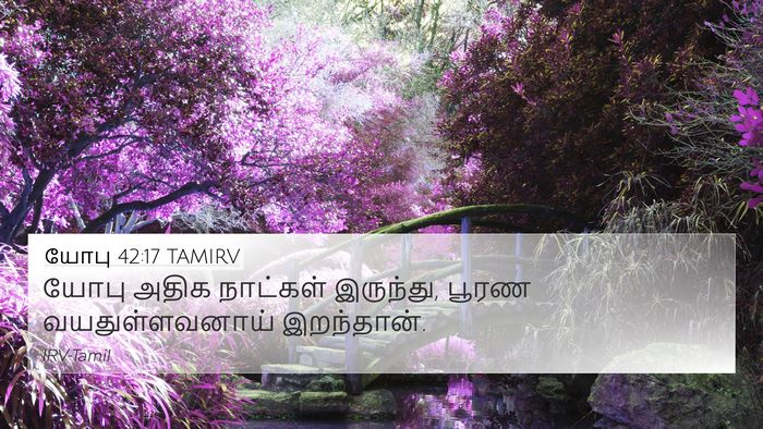 யோபு 42:17 TAMIRV Bible Verse Image