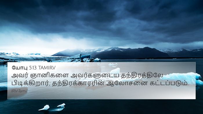 யோபு 5:13 TAMIRV Bible Verse Image