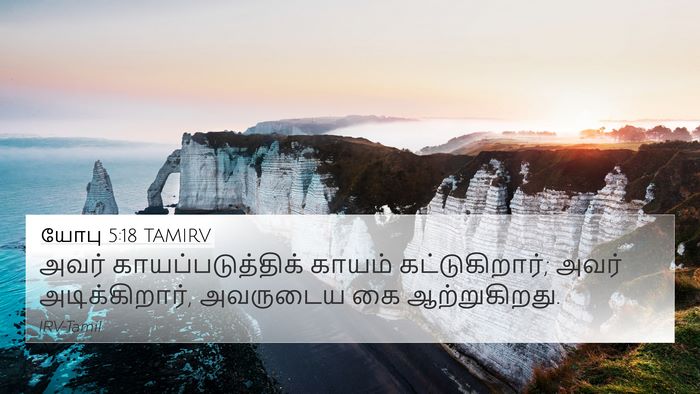 யோபு 5:18 TAMIRV Bible Verse Image