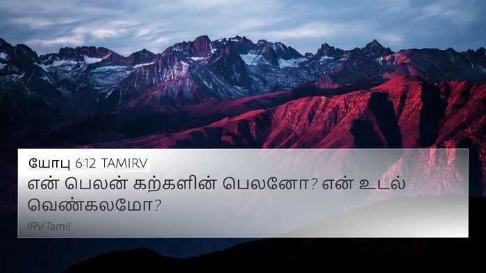 யோபு 6:12 TAMIRV Bible Verse Image
