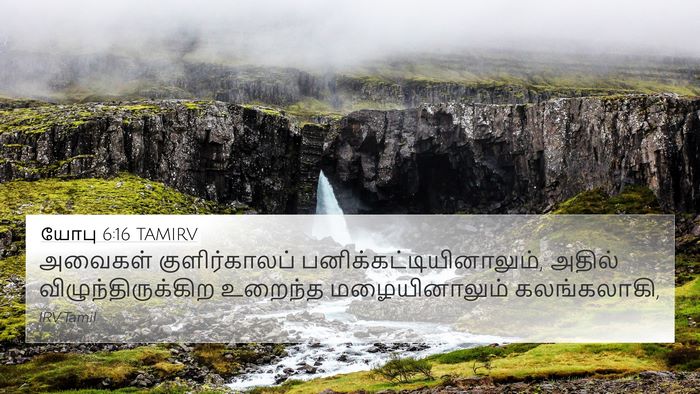 யோபு 6:16 TAMIRV 4K Wallpaper - அவைகள் - 4K Wallpaper Bible Verse