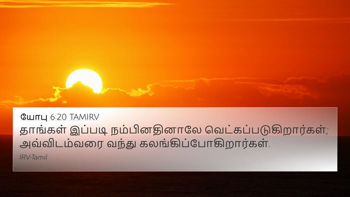 யோபு 6:20 TAMIRV Bible Verse Image
