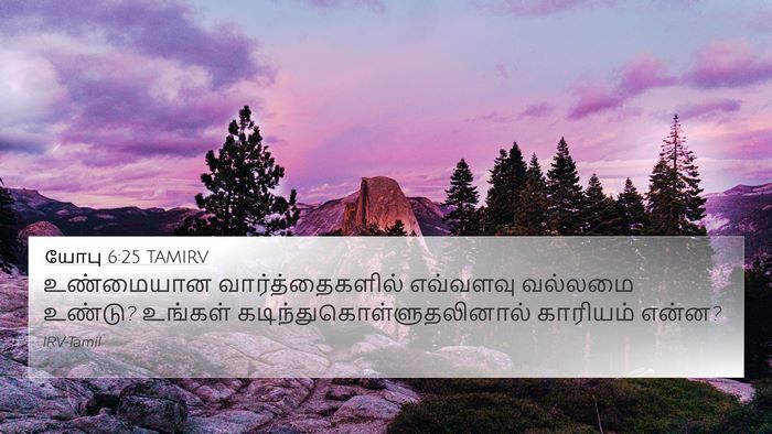 யோபு 6:25 TAMIRV Bible Verse Image