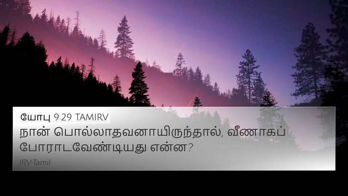 யோபு 9:29 TAMIRV Bible Verse Image