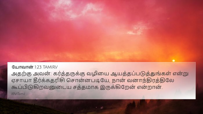 யோவான் 1:23 TAMIRV Bible Verse Image