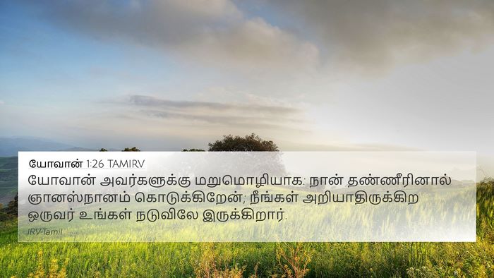 யோவான் 1:26 TAMIRV Bible Verse Image