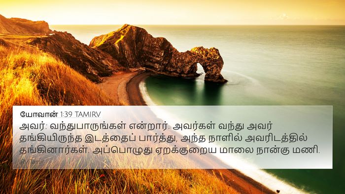 யோவான் 1:39 TAMIRV 4K Wallpaper - அவர்: - 4K Wallpaper Bible Verse