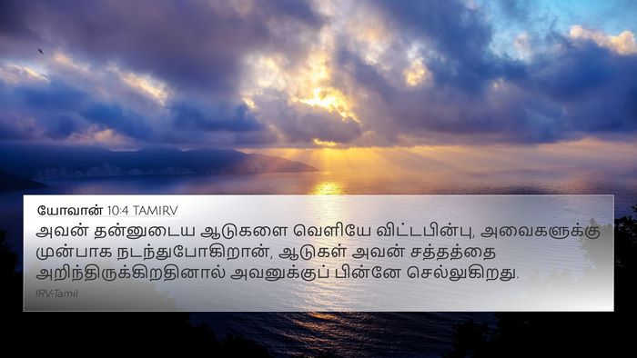 யோவான் 10:4 TAMIRV Bible Verse Image