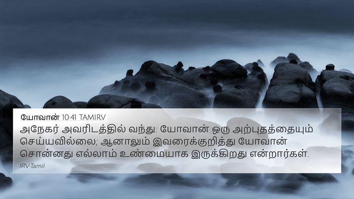 யோவான் 10:41 TAMIRV Bible Verse Image