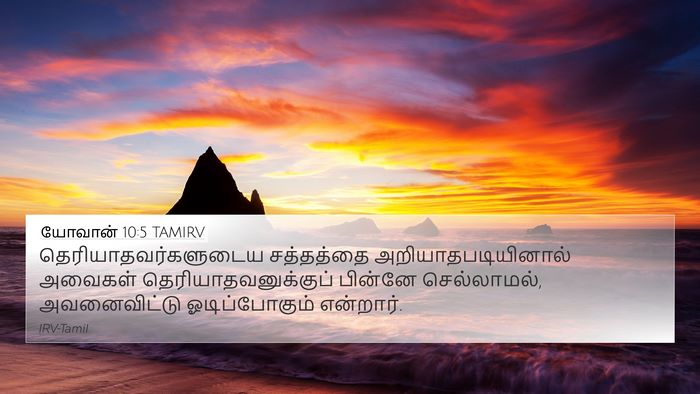 யோவான் 10:5 TAMIRV Bible Verse Image