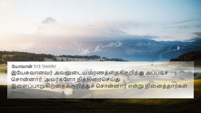 யோவான் 11:13 TAMIRV Bible Verse Image