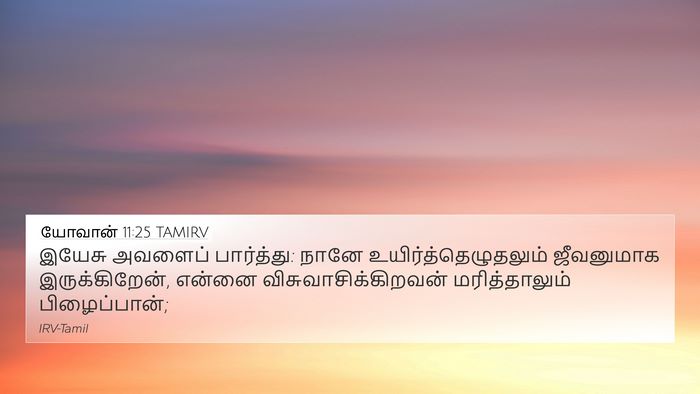 யோவான் 11:25 TAMIRV Bible Verse Image