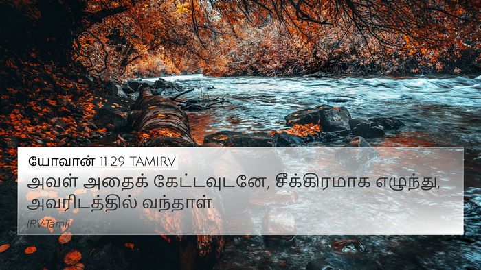 யோவான் 11:29 TAMIRV 4K Wallpaper - அவள் அதைக் - 4K Wallpaper Bible Verse