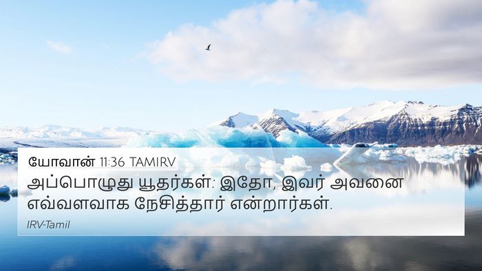 யோவான் 11:36 TAMIRV Bible Verse Image
