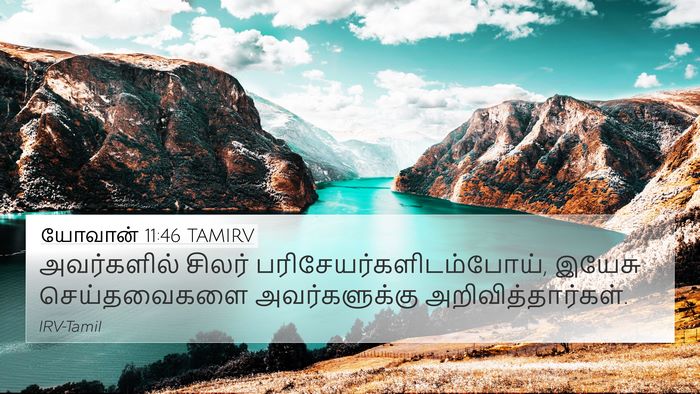 யோவான் 11:46 TAMIRV Bible Verse Image