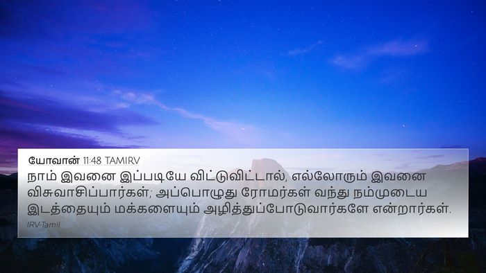 யோவான் 11:48 TAMIRV Bible Verse Image